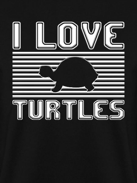 I love turtles