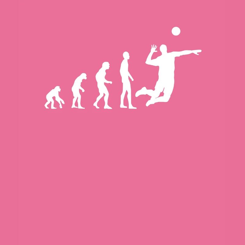 Volleyball Evolution