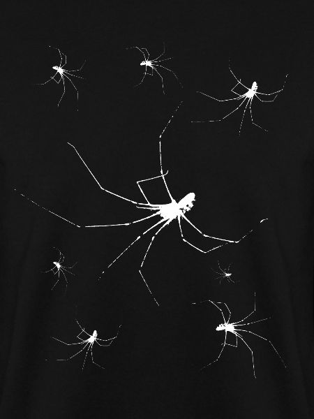 Halloween Spiders