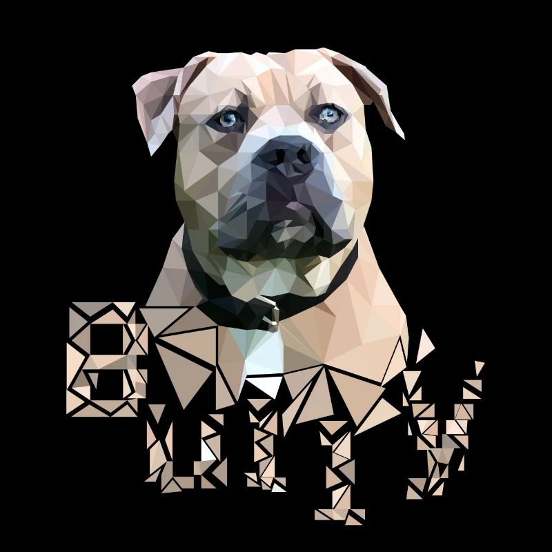 American Bully Farbe