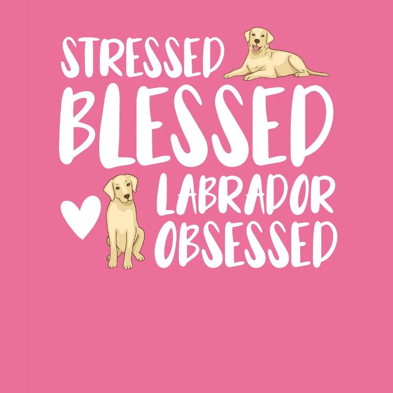 Labrador Hunde