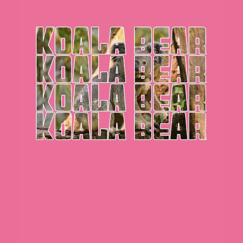 Koala Bär