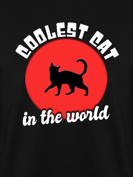 Coole Katze Spruch