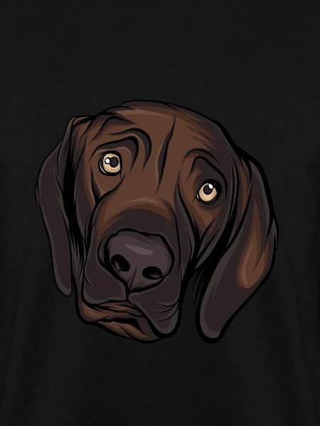 Labrador