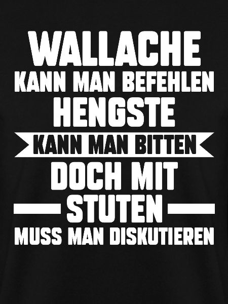 Reiten Reiter Pferd Pferde