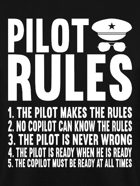 Pilot Flugzeug