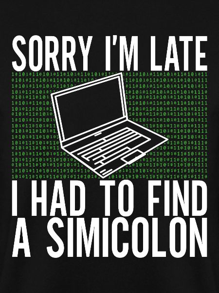 Programmer Computer Scientist