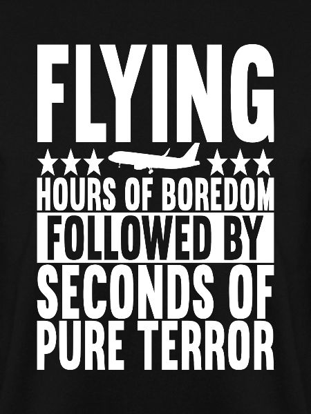 Pilot Flugzeug