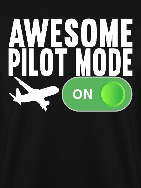 Pilot Flugzeug