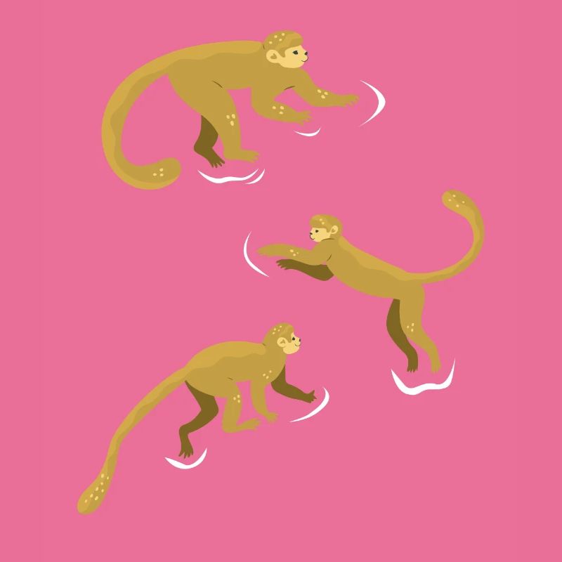 Chimpanzee Monkey Orangutan Monkey - Cute Monkey