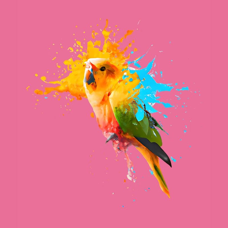 Perroquet - Explosion de couleur