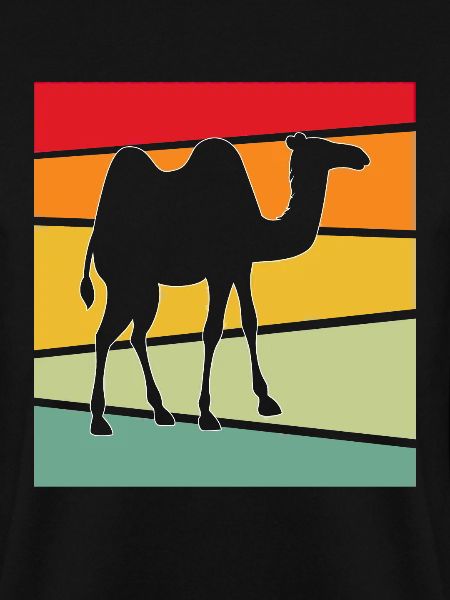 Camel Rétro