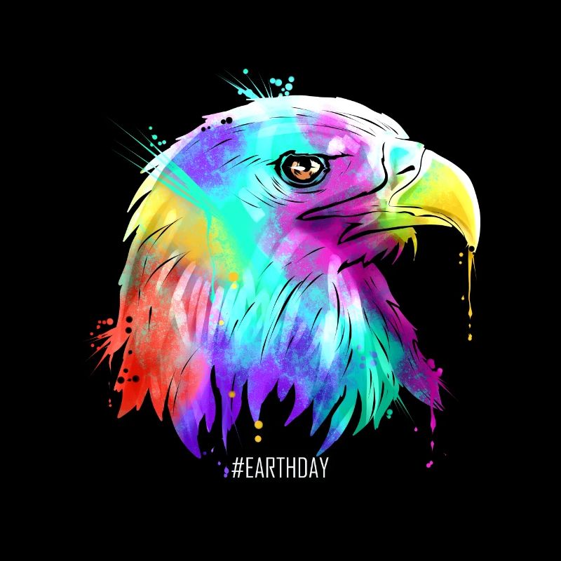 Colorful American Bird Bald Eagle Head For Earth