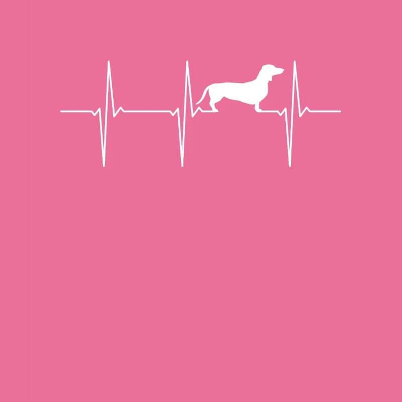Dackel EKG