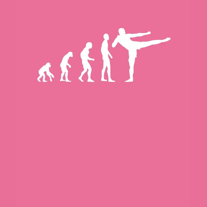 Evolution Kickboxen, MMA, Kampfsport