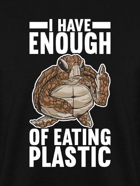Angry Turtle