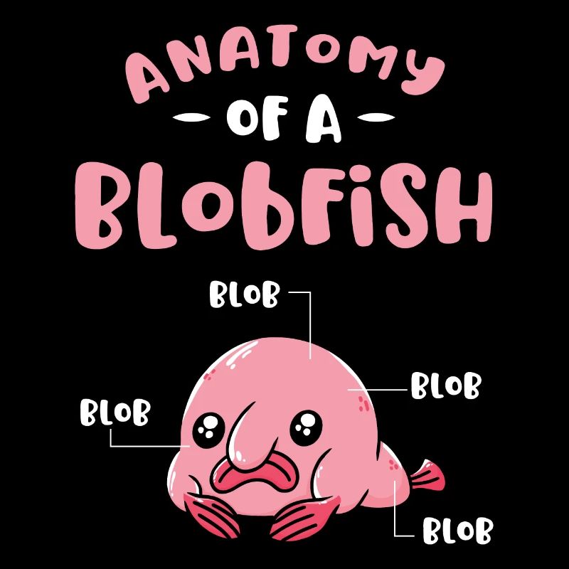 Anatomie Eines