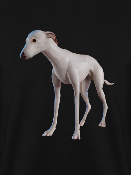 Greyhound Hund