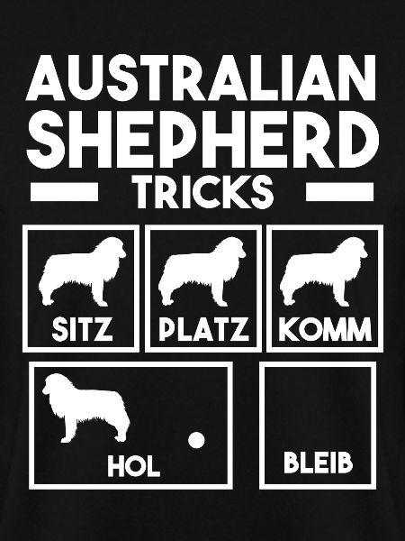 Hund Australian Shepherd