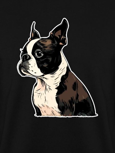 Boston Terrier