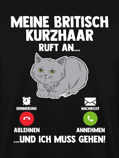 Britisch Kurzhaar Katze