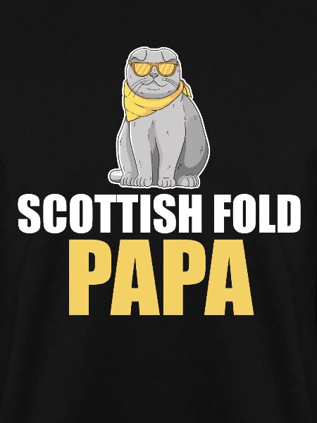 Scottish Fold Cat