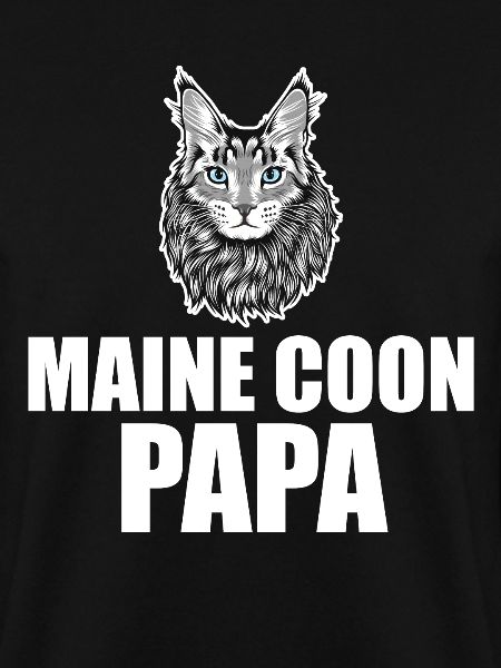 Maine Coon Katze