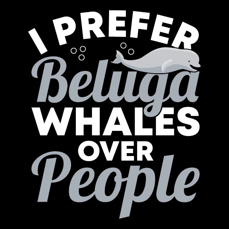 Beluga Whale Beluga Whale Whale Watching Dolphin Dolphin