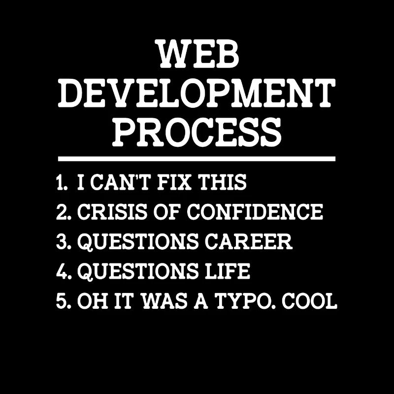 Développeur Web Développement de sites Web Programmeur informatique