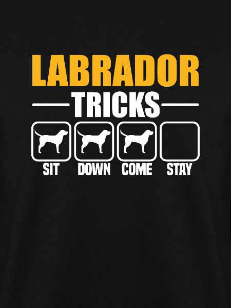 Labrador Tricks