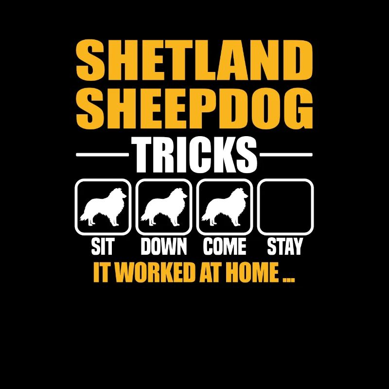 Shetland Sheepdog Tricks