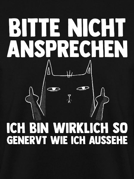Bitte Nicht Ansprechen Katze