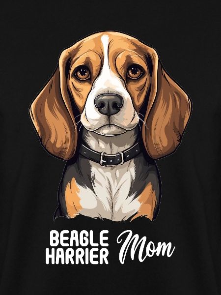 Hund Beagle Harrier