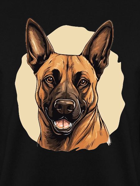 Dog Belgian Shepherd
