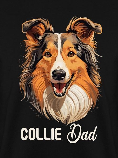 Hund Collie