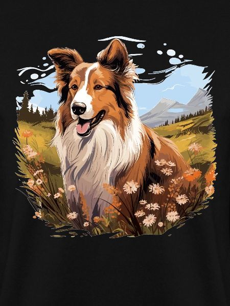 Hund Collie