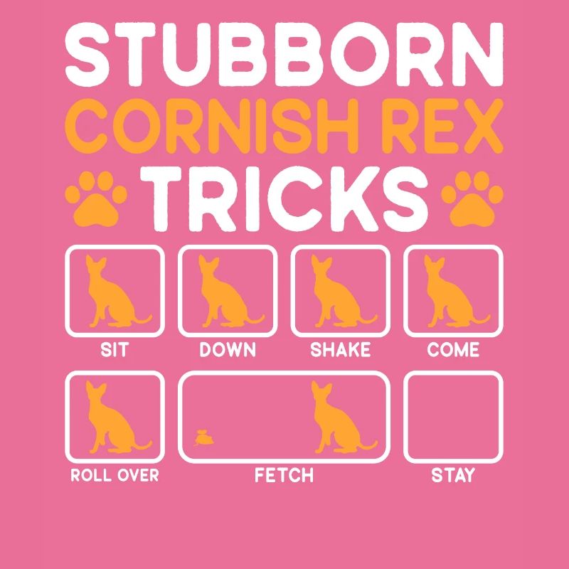 Stubborn Tricks Cornish Rex Cat