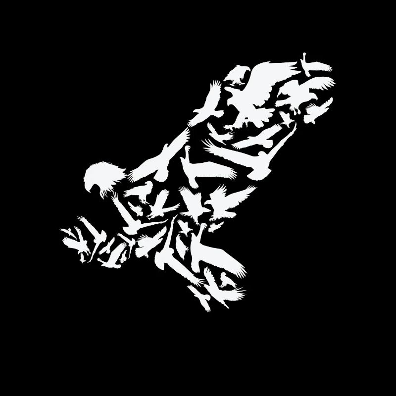 Adler Raubvogel Adler Silhouette