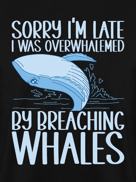 Whales Whale