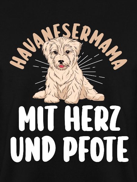 Dog Havanese