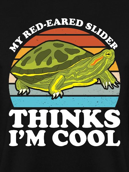 Red-eared Turtle Turtle
