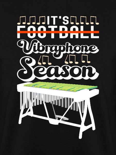 Vibraphon Vibraphonist