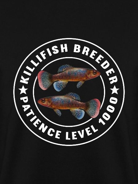 Killifisch Quarium Fische