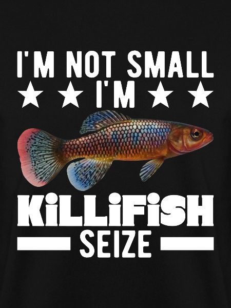Killifisch Quarium Fische