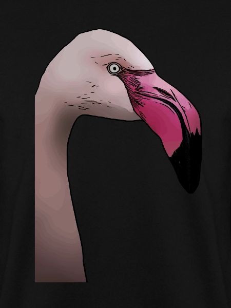 Flamingo - design d’animal oiseau