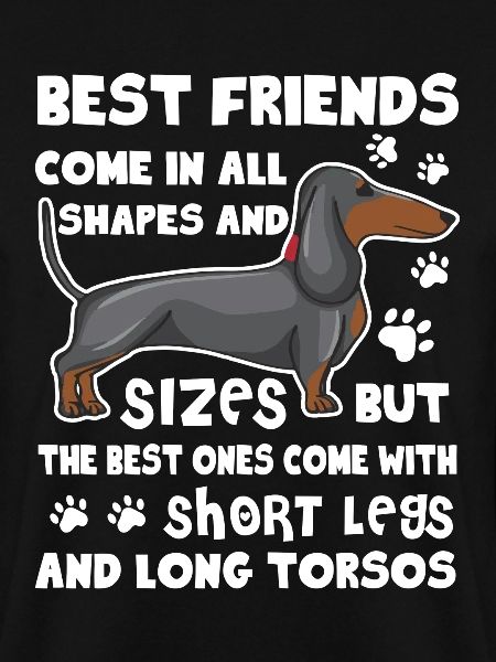 Dachshund Best Friend