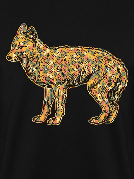Coyote Geometric