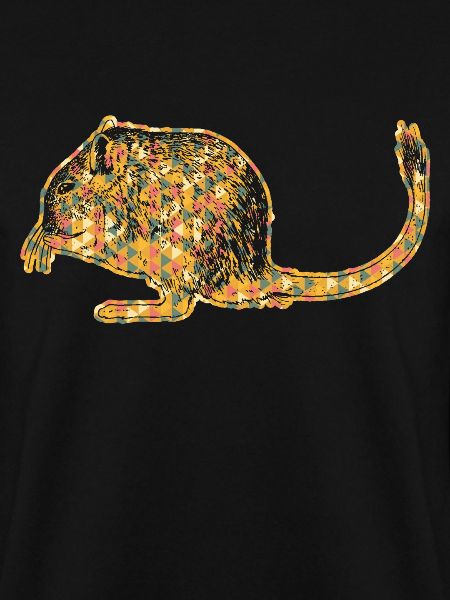 Gerbil Geometric
