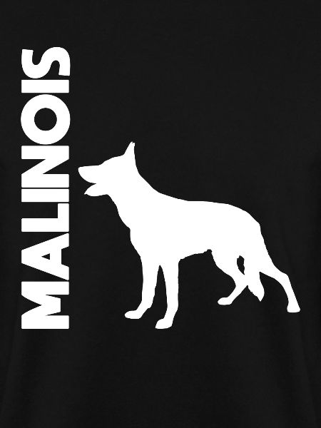 Belgian Malinois