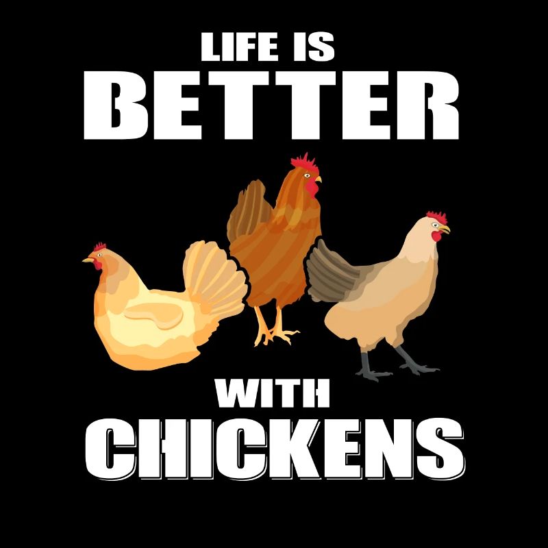 Chicken chickens